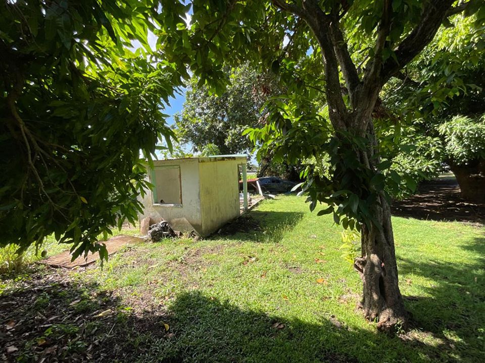 Helårsgrund i Basse-Terre, Guadeloupe - foto 4