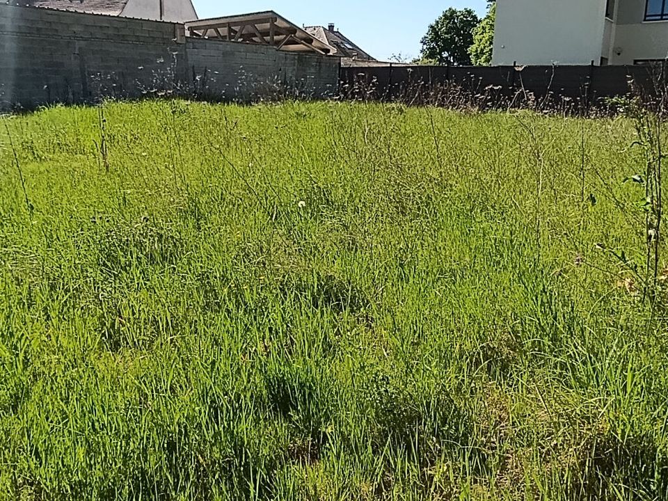 Tomt i Evry-Gregy-sur-Yerre, Seine-et-Marne - bilde 2