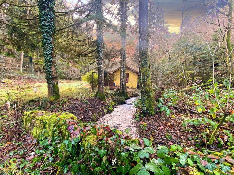 Helårsgrund i Willer-sur-Thur, Haut-Rhin - foto 2