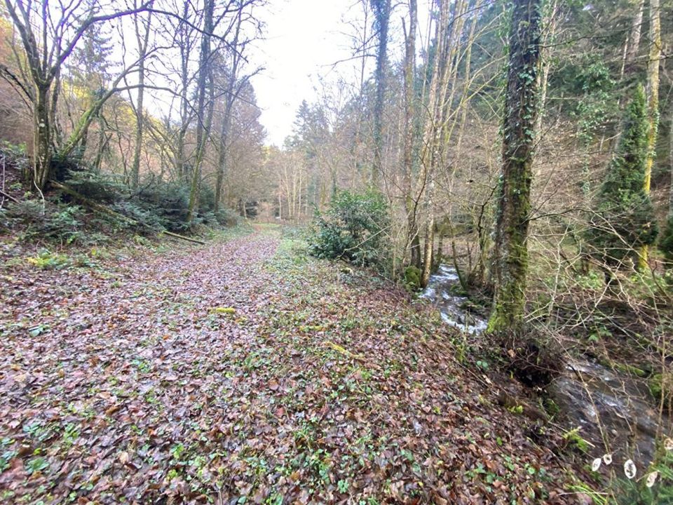 Helårsgrund i Willer-sur-Thur, Haut-Rhin - foto 4