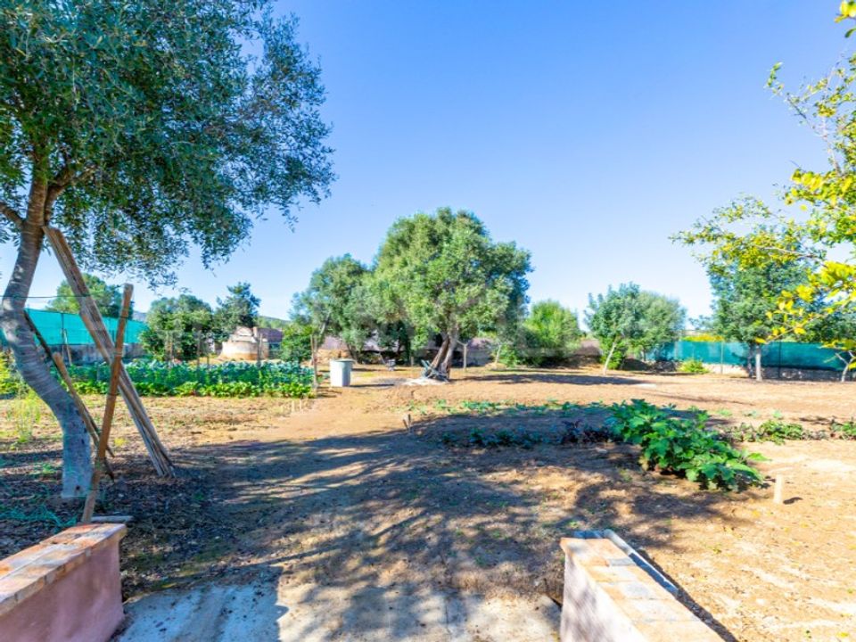 Villa i Moncarapacho, Faro - foto 4