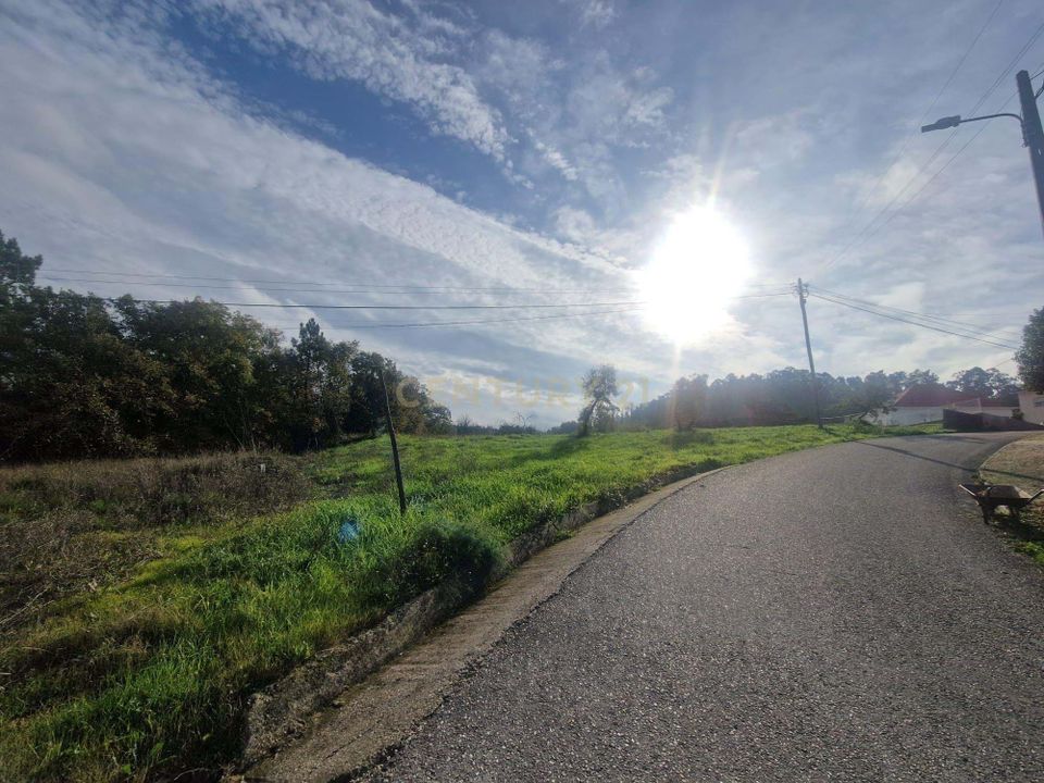 Helårsgrund i Pombal, Leiria - foto 5