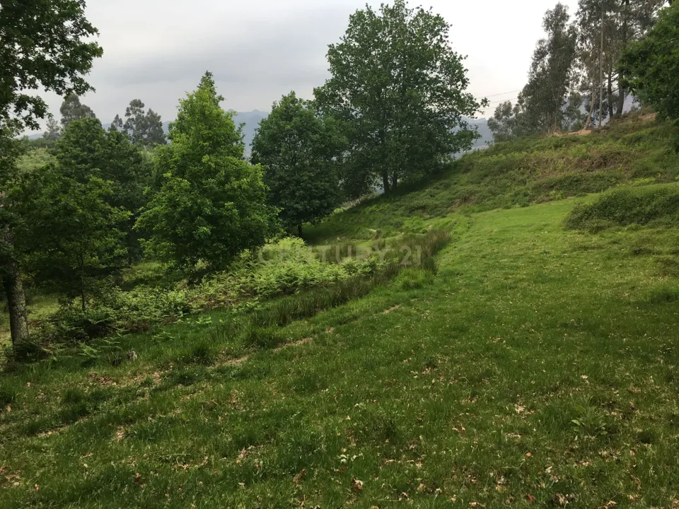 Helårsgrund i Vieira do Minho, Braga - foto 5