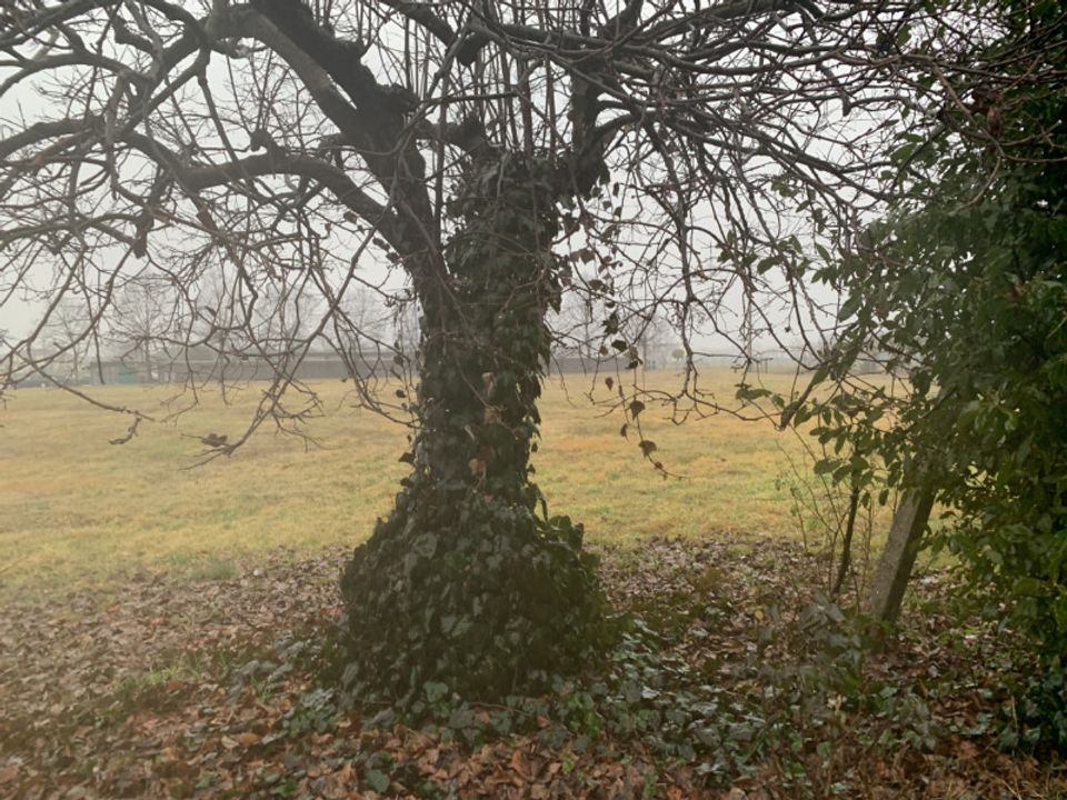 Villa i Vicenza, Vicenza - foto 4