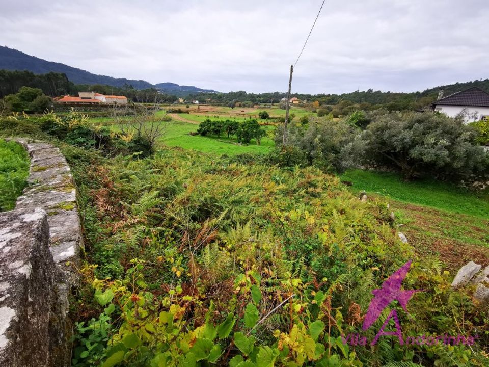 Helårsgrund i Caminha, Viana do Castelo - foto 3