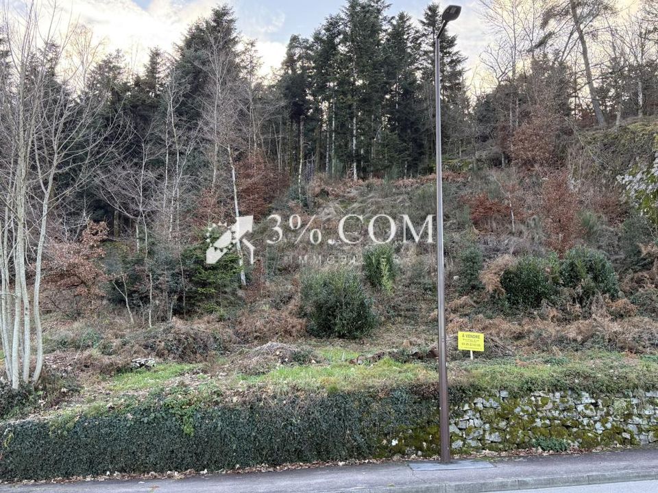Helårsgrund i Saint-Nabord, Vosges - foto 5