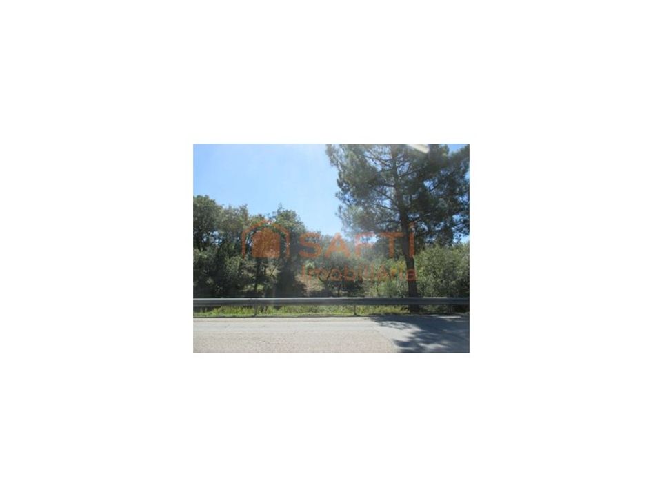 Tomt i Soure, Coimbra - bilde 5