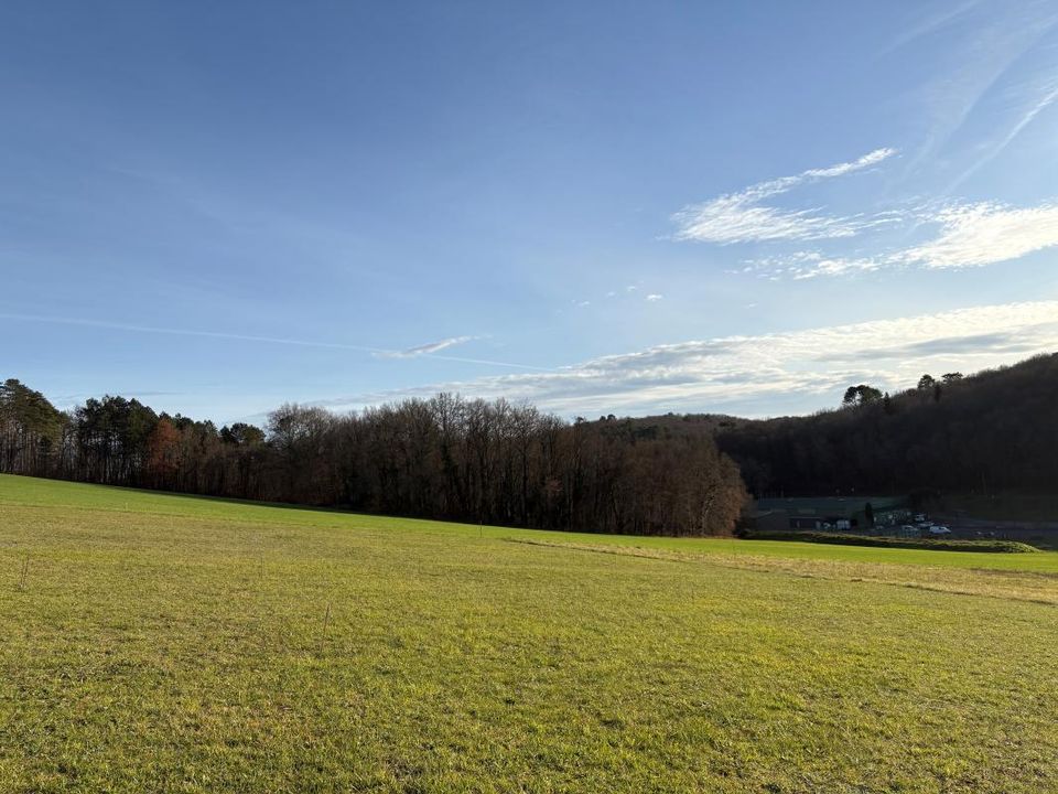 Tomt i Sanilhac, Dordogne - bilde 1