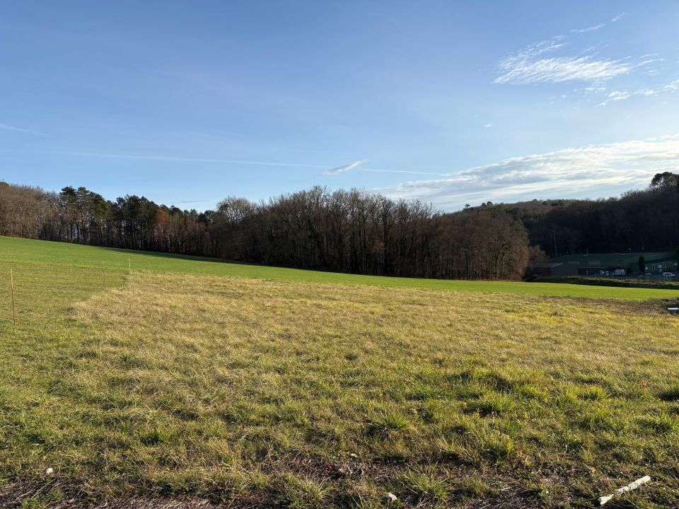 Helårsgrund i Sanilhac, Dordogne - foto 1