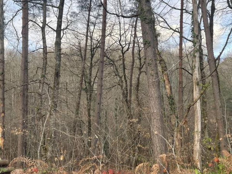 Terra em Chancelade, Dordogne - foto 1