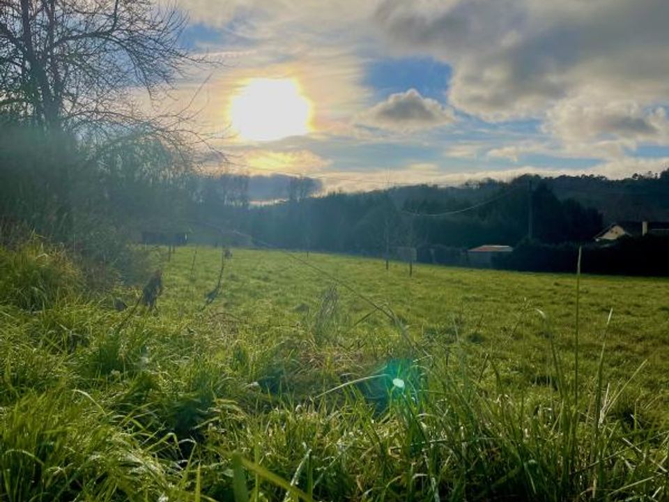 Terra em Chancelade, Dordogne - foto 1