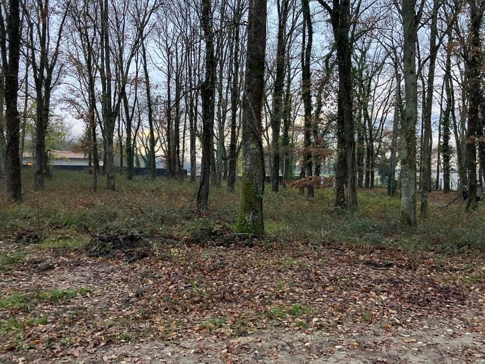 Helårsgrund i Montpon-Menesterol, Dordogne - foto 1