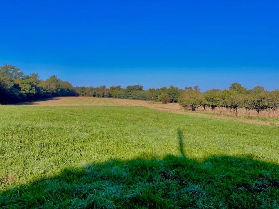 Helårsgrund i Thiviers, Dordogne - foto 1
