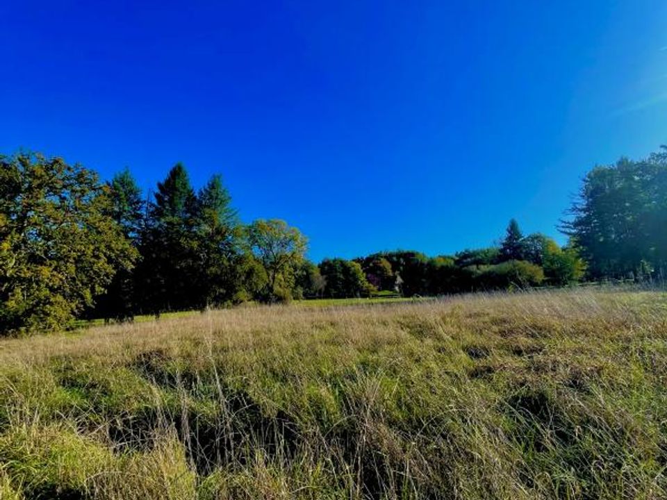 Helårsgrund i Saint-Jean-de-Côle, Dordogne - foto 1