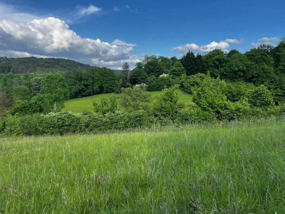 Helårsgrund i Saint-Paul-de-Serre, Dordogne - foto 2