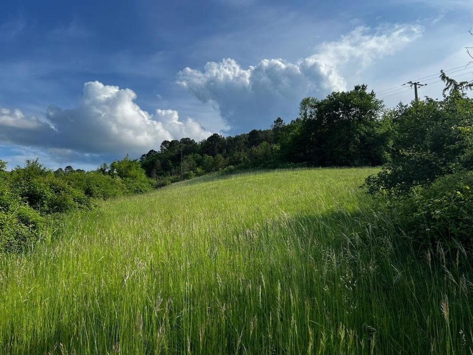 Helårsgrund i Saint-Paul-de-Serre, Dordogne - foto 3