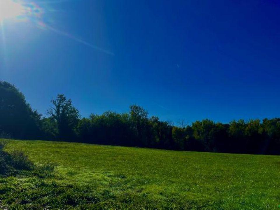 Terra a Saint-Pierre-de-Côle, Dordogne - foto 1