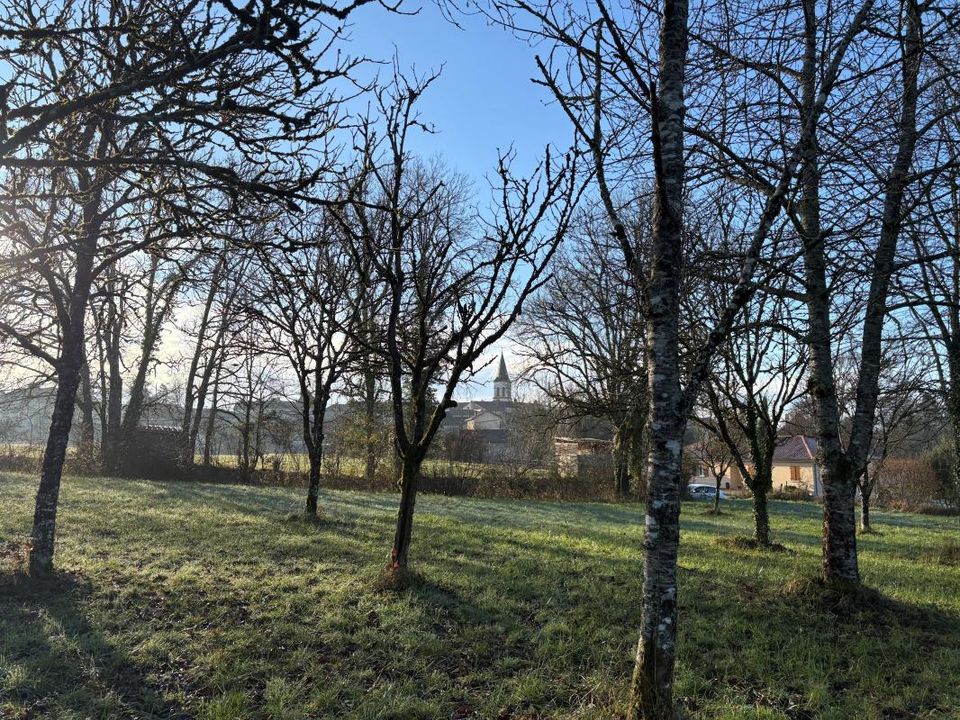 Terra a Sorges et Ligueux en Perigord, Dordogne - foto 1