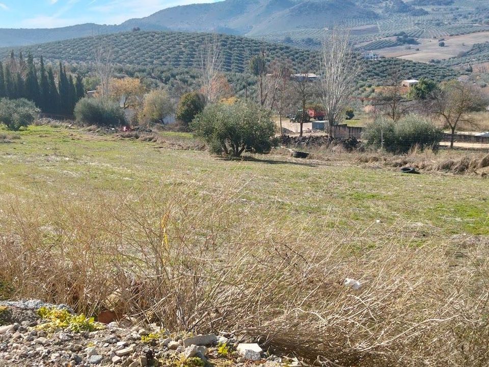 Tomt i Moclin, Granada - bilde 5