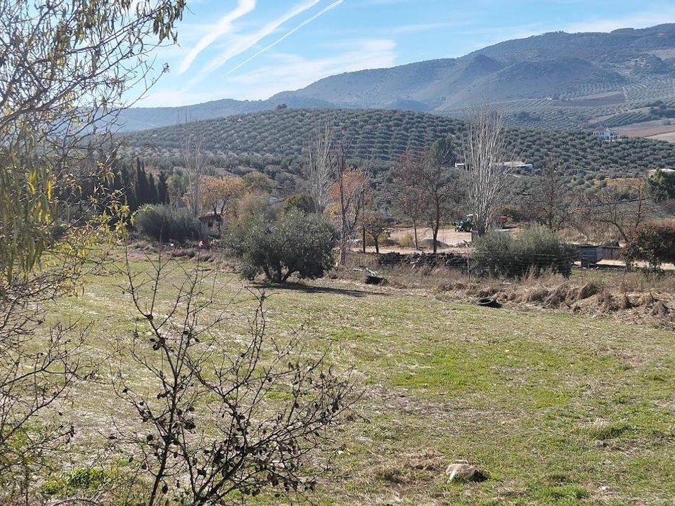 Terreno en Moclin, Granada - foto 4