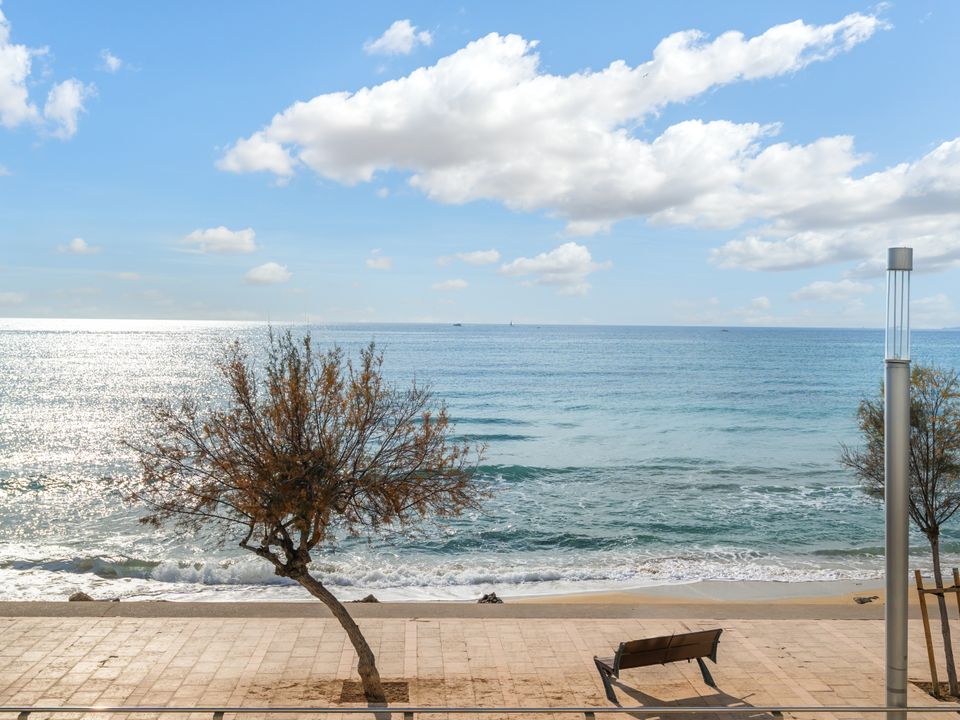 Lejlighed i Palma De Mallorca, Mallorca - foto 5
