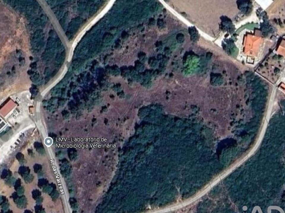 Terra a Santarem, Santarem - foto 1