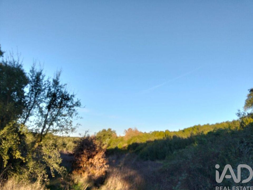 Terra a Santarem, Santarem - foto 2