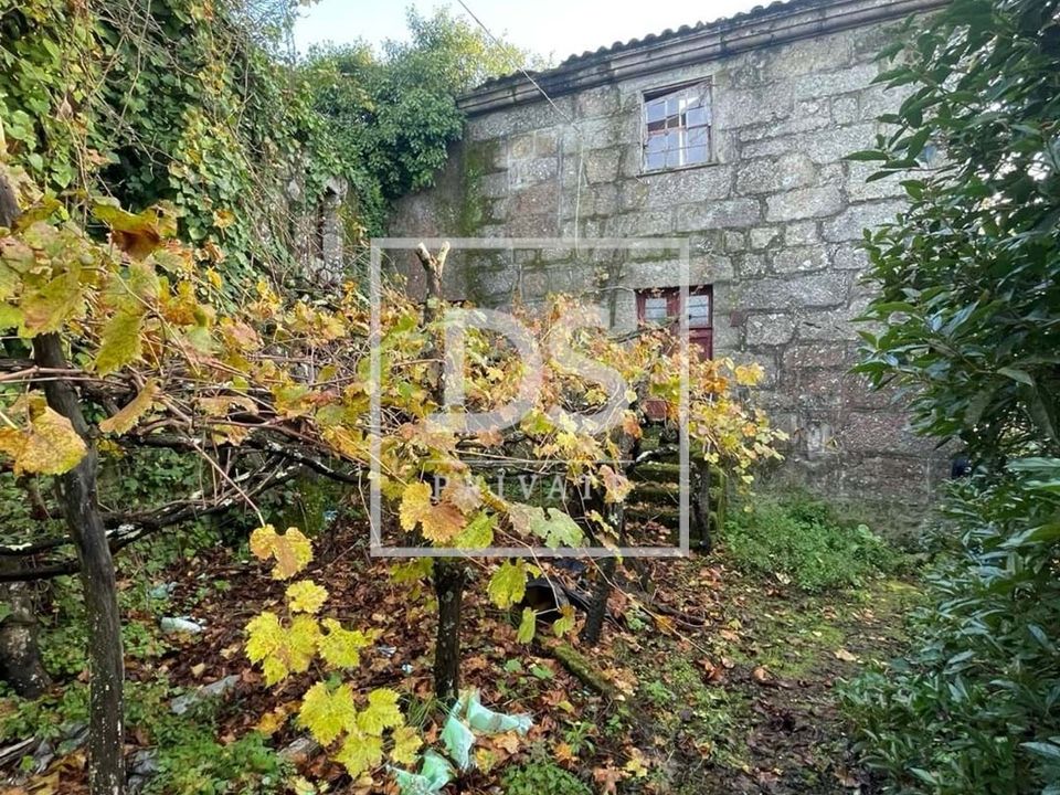 Gårdshus i Resende, Viseu - bilde 4