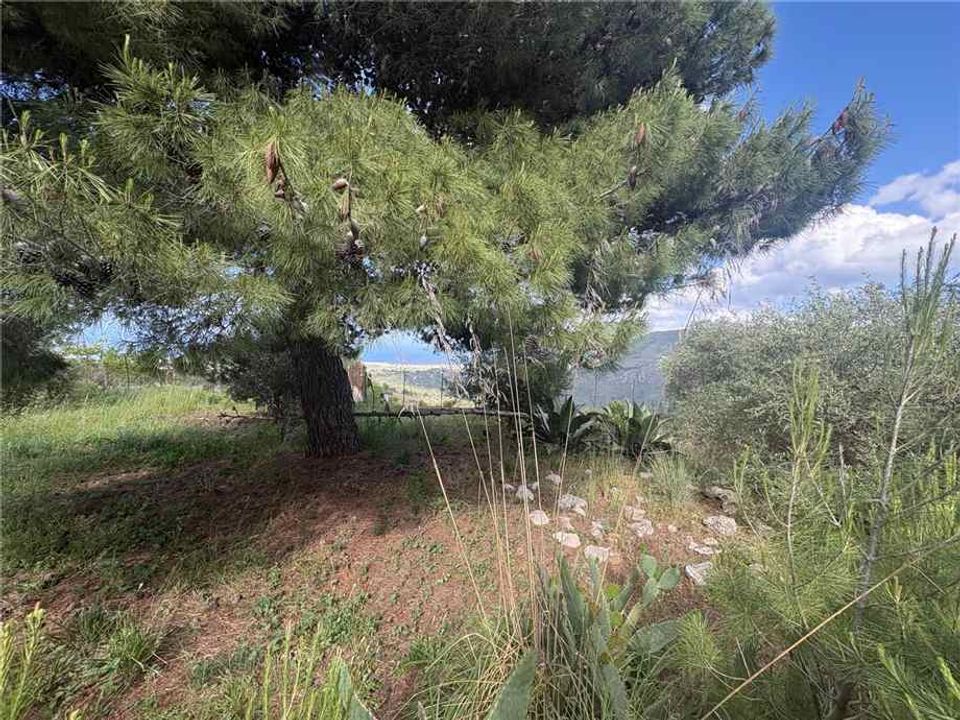 Landejendom i Casteldaccia, Palermo - foto 3