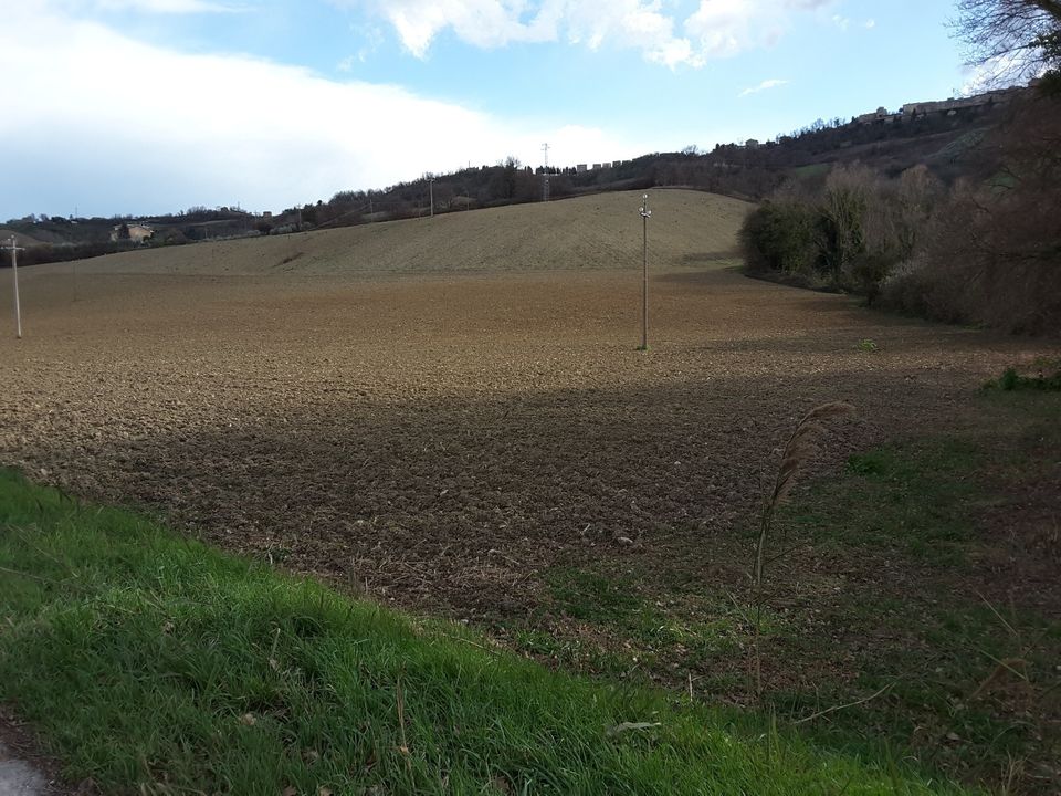 Erhvervsejendom i Carassai, Ascoli Piceno - foto 3