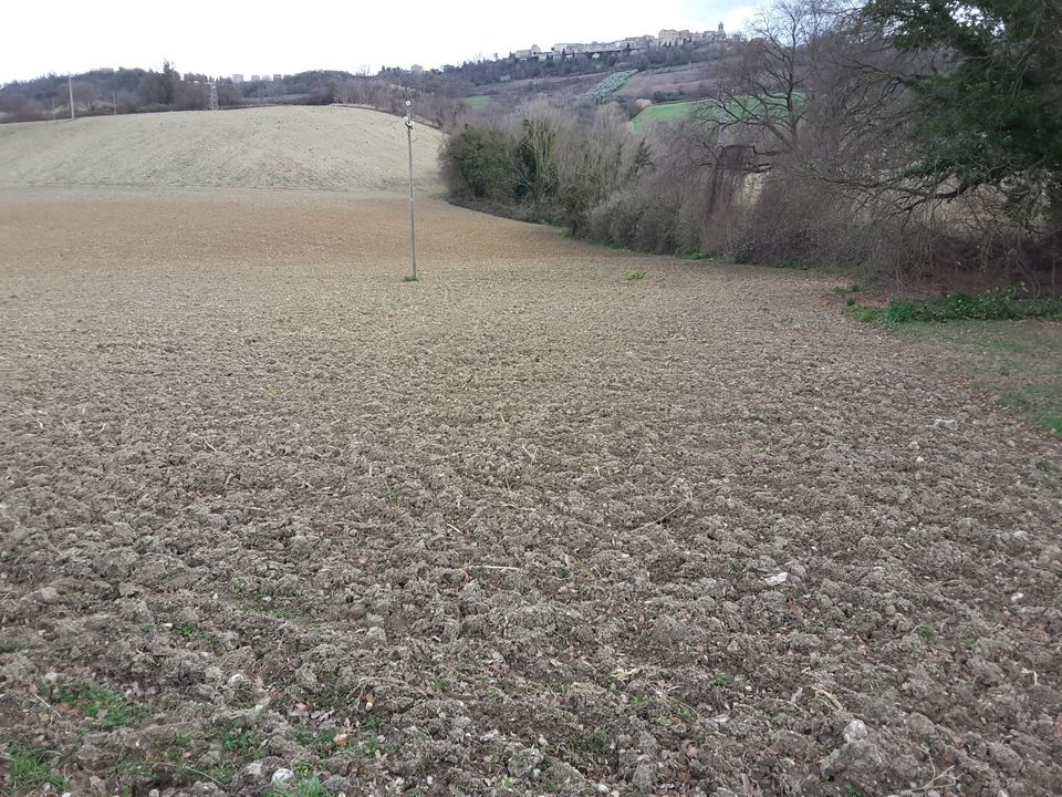 Erhvervsejendom i Carassai, Ascoli Piceno - foto 4