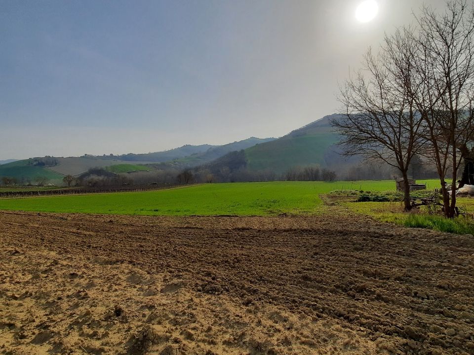 Villa i Ripatransone, Ascoli Piceno - foto 4