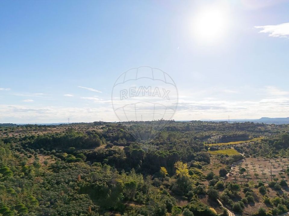 Helårsgrund i Olaia e Paco, Santarem - foto 3