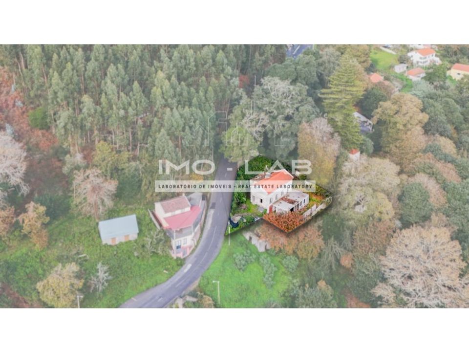 Villa i Camacha, Madeira - foto 3