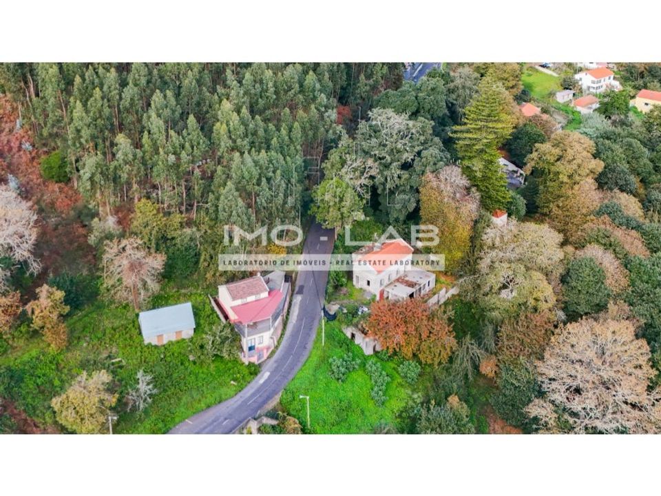 Villa i Camacha, Madeira - foto 4