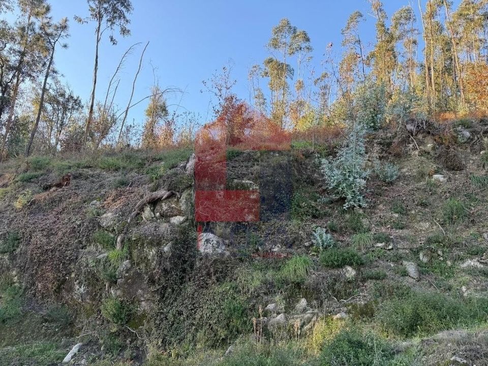 Helårsgrund i Vila Verde, Braga - foto 2