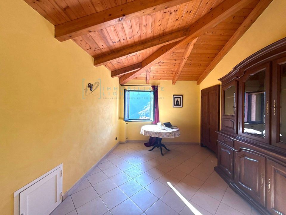 Landejendom i Borghetto D'Arroscia, Imperia - foto 4