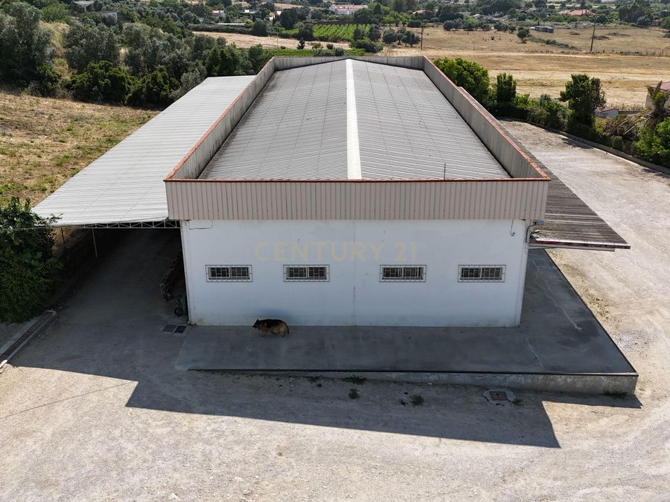 Erhvervsejendom i Palmela, Setubal - foto 4