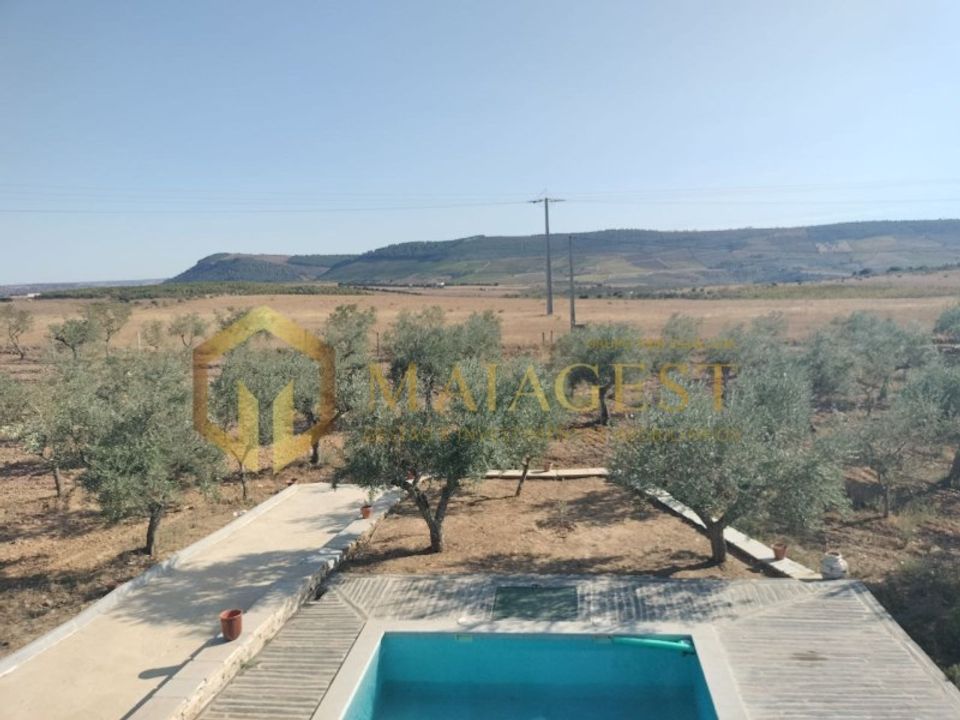 Farm i Freixo de Espada a Cinta, Braganca - foto 4