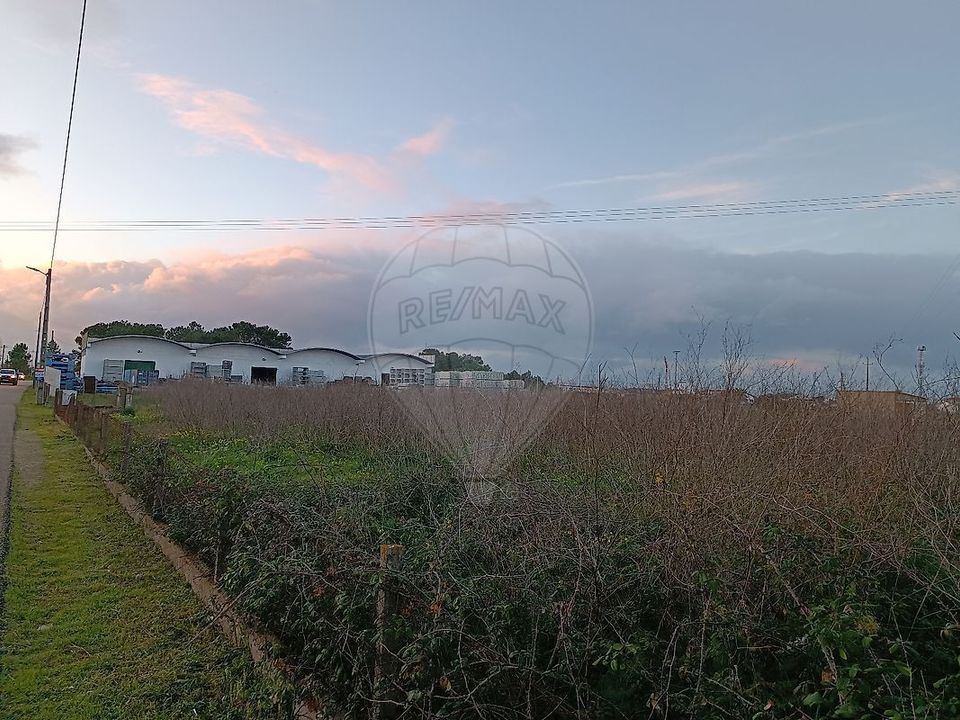 Helårsgrund i Benavente, Santarem - foto 2