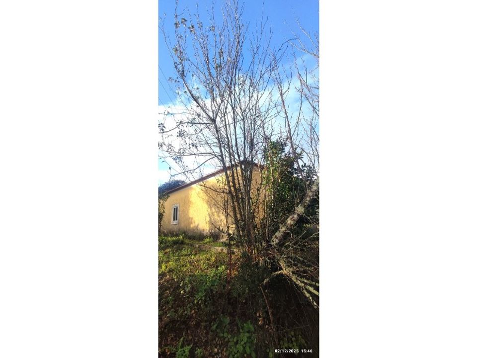 Landejendom i Ourem, Santarem - foto 2