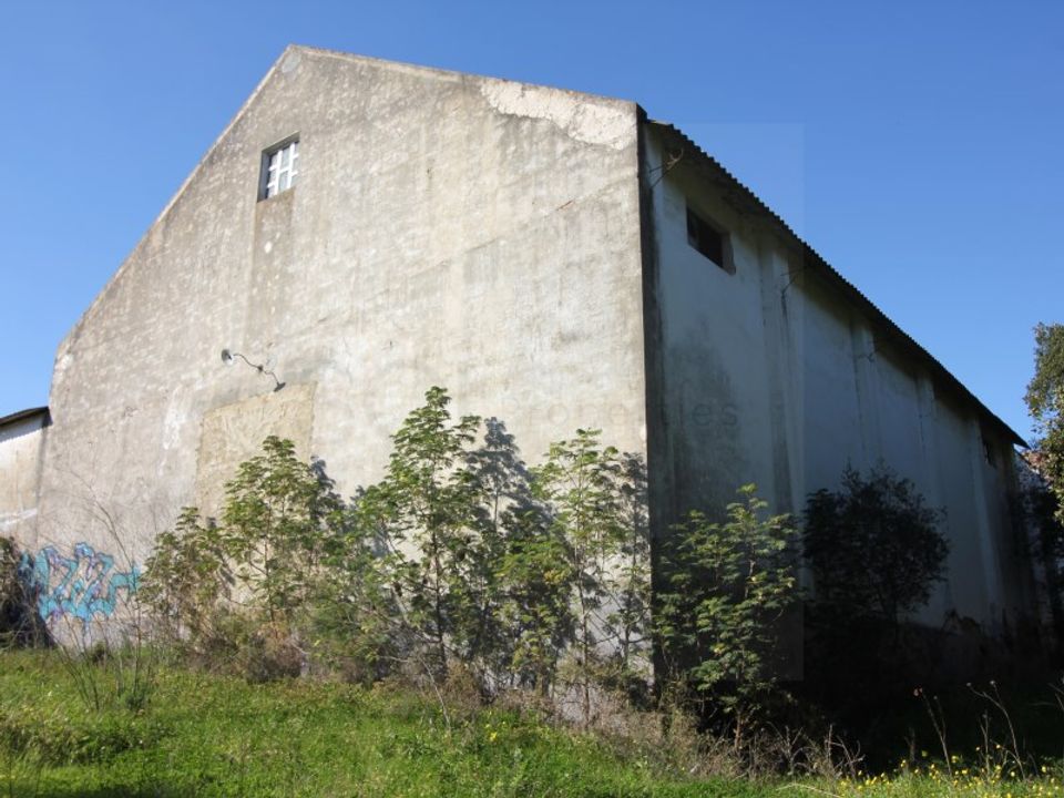 Helårsgrund i Palmela, Setubal - foto 5