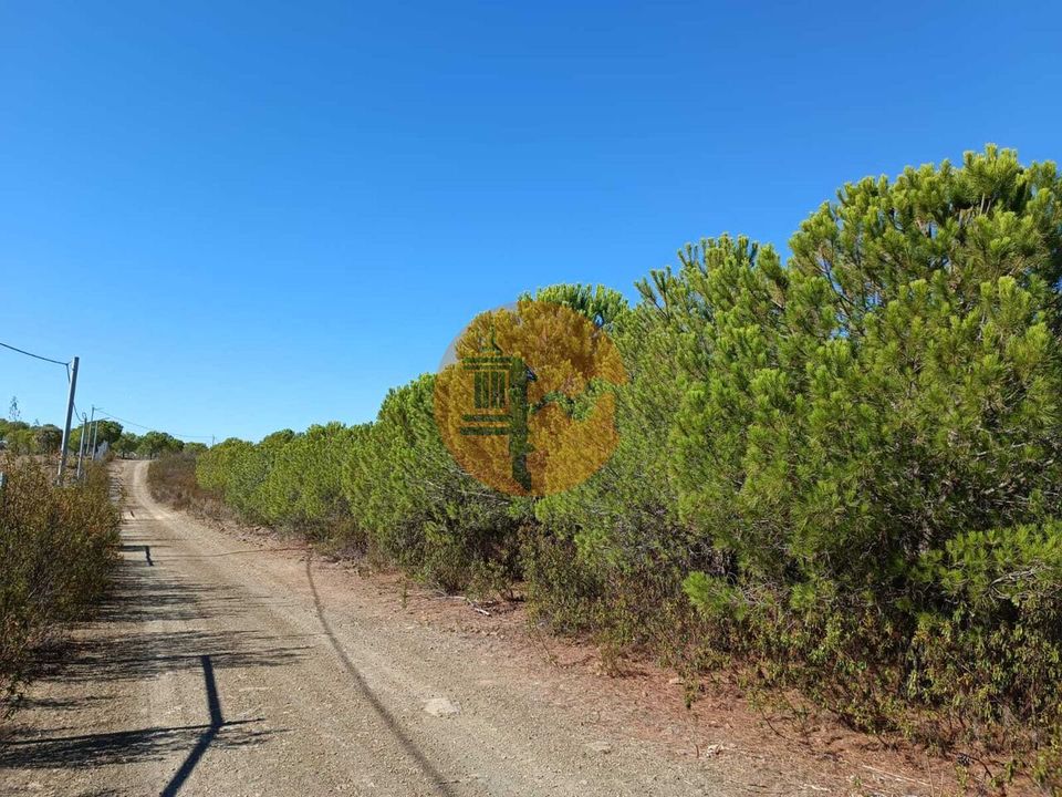 Tomt i Alcoutim, Faro - bilde 5