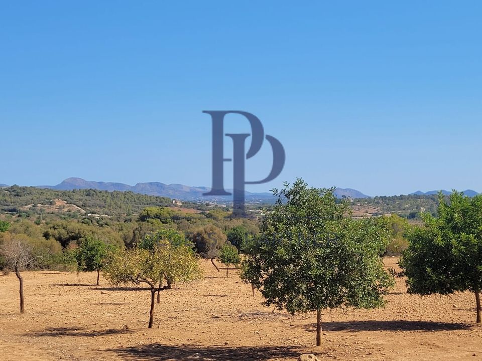 Helårsgrund i Manacor, Mallorca - foto 1