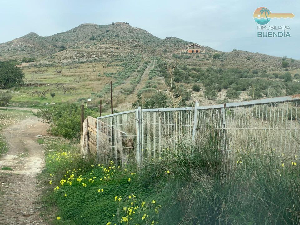Helårsgrund i Cartagena, Murcia - foto 4