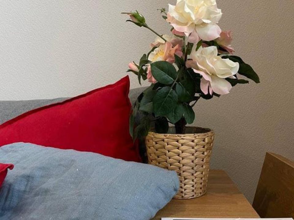 Apartamento em Lyon, Rhone - foto 4