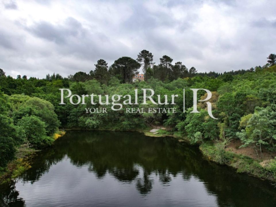 Farm i Santa Comba Dao, Viseu - foto 4