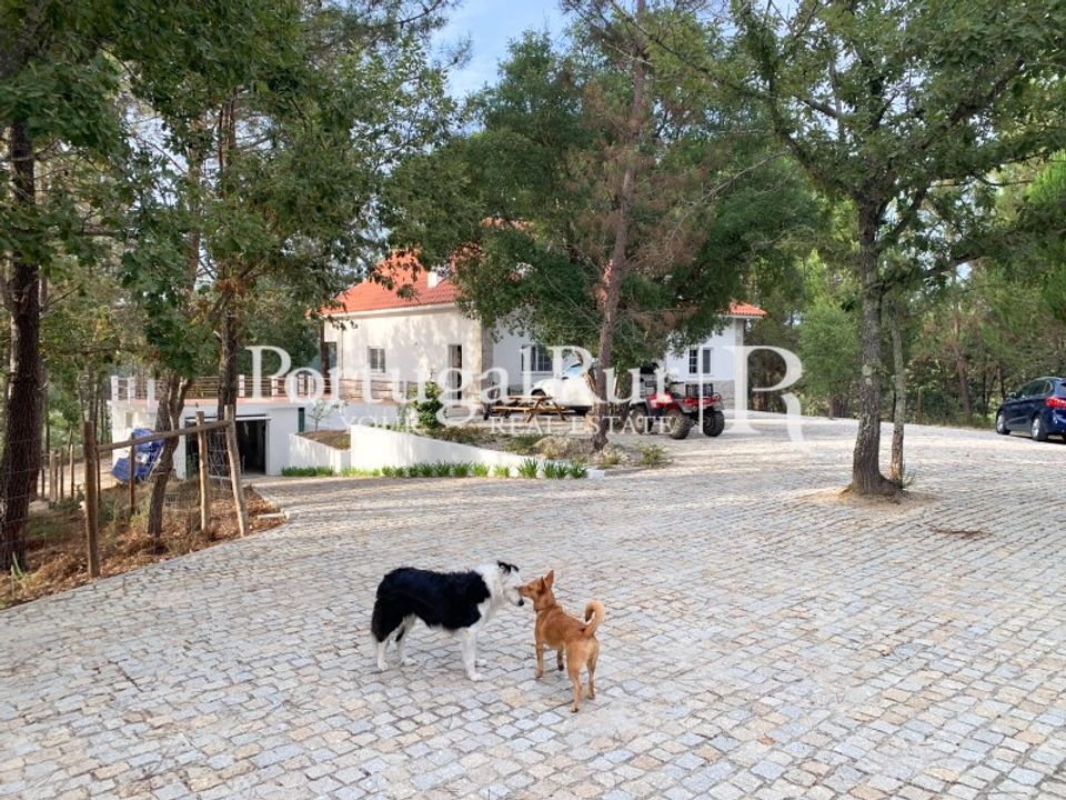 Farm i Santa Comba Dao, Viseu - foto 5