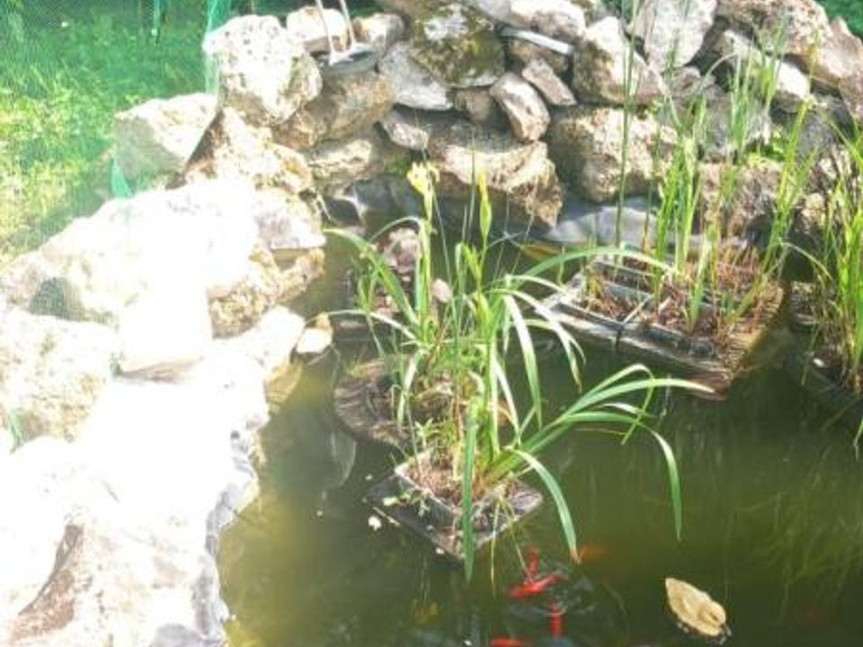 Estudi a Courtisols, Marne - foto 2