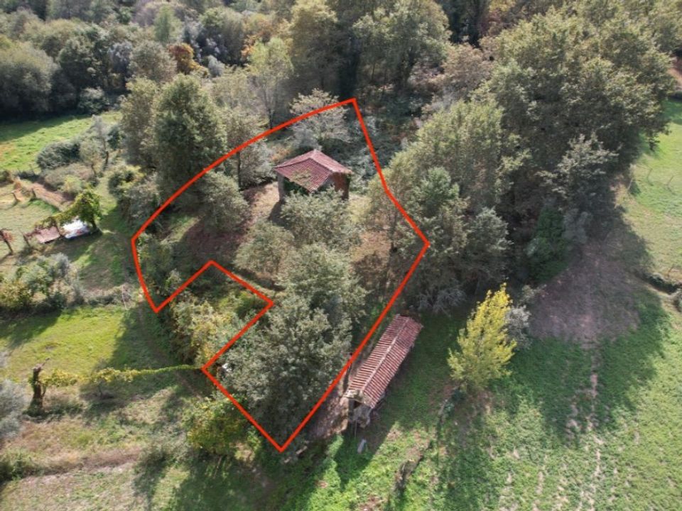 Farm i Arcos de Valdevez, Viana do Castelo - foto 5